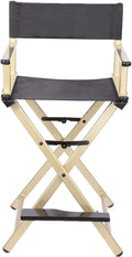 Folding Lightweight Aluminum Director Chair H9889