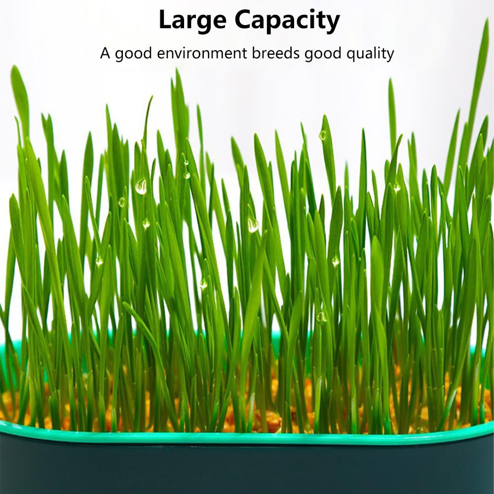 Cat Grass Growing Kit S607049