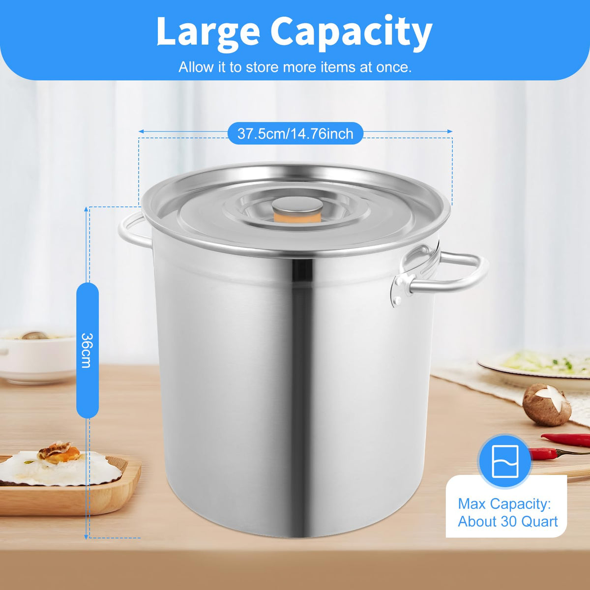 35L Stainless Steel Stockpot with Lid N627
