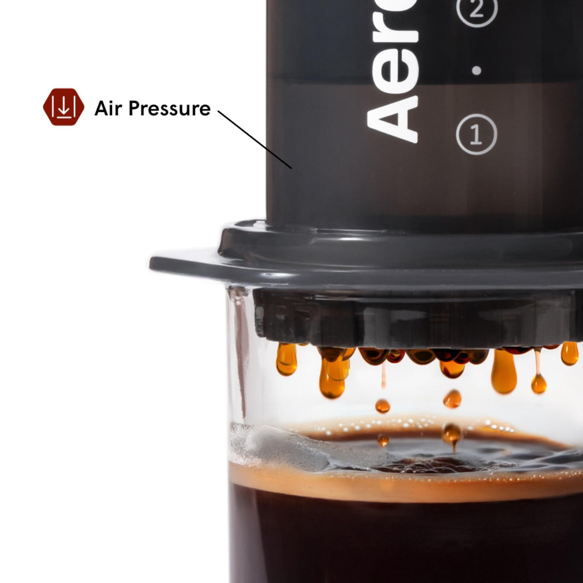 Coffee Press D217