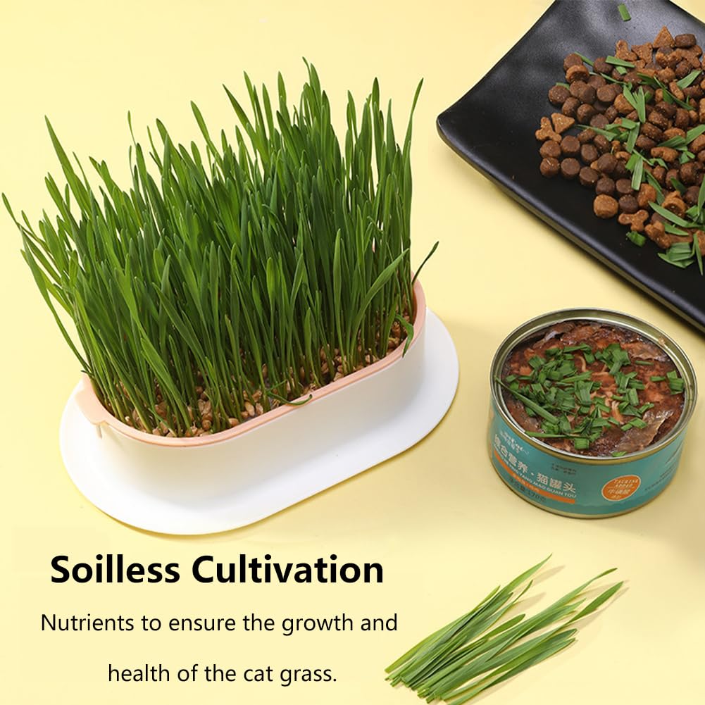 Cat Grass Growing Kit S607049