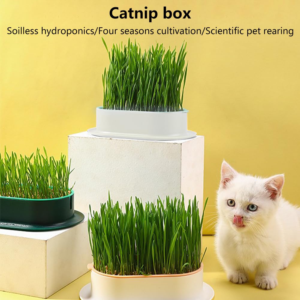 Cat Grass Growing Kit S607049