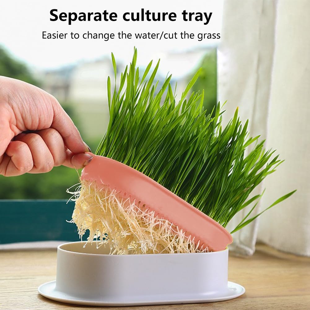 Cat Grass Growing Kit S607049