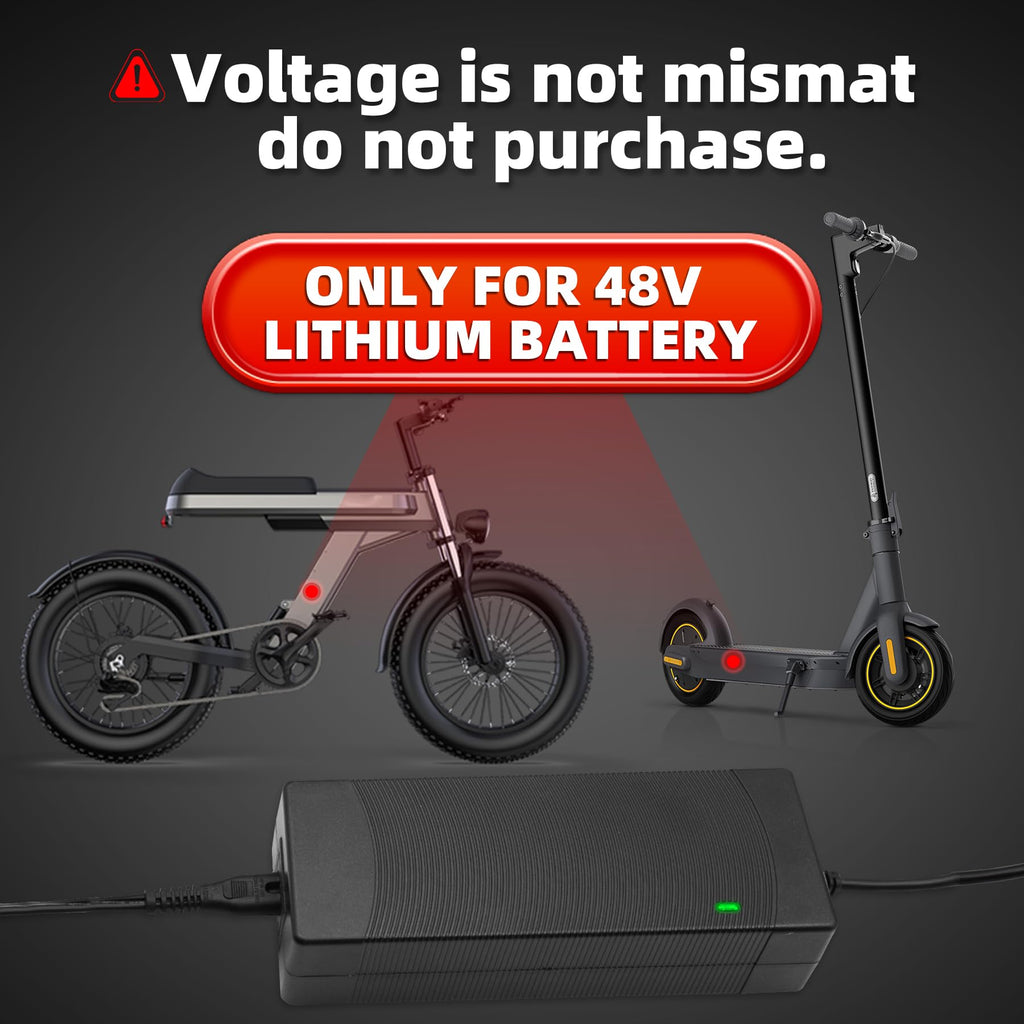 54.6V 2A Electric Bike Charger Y980