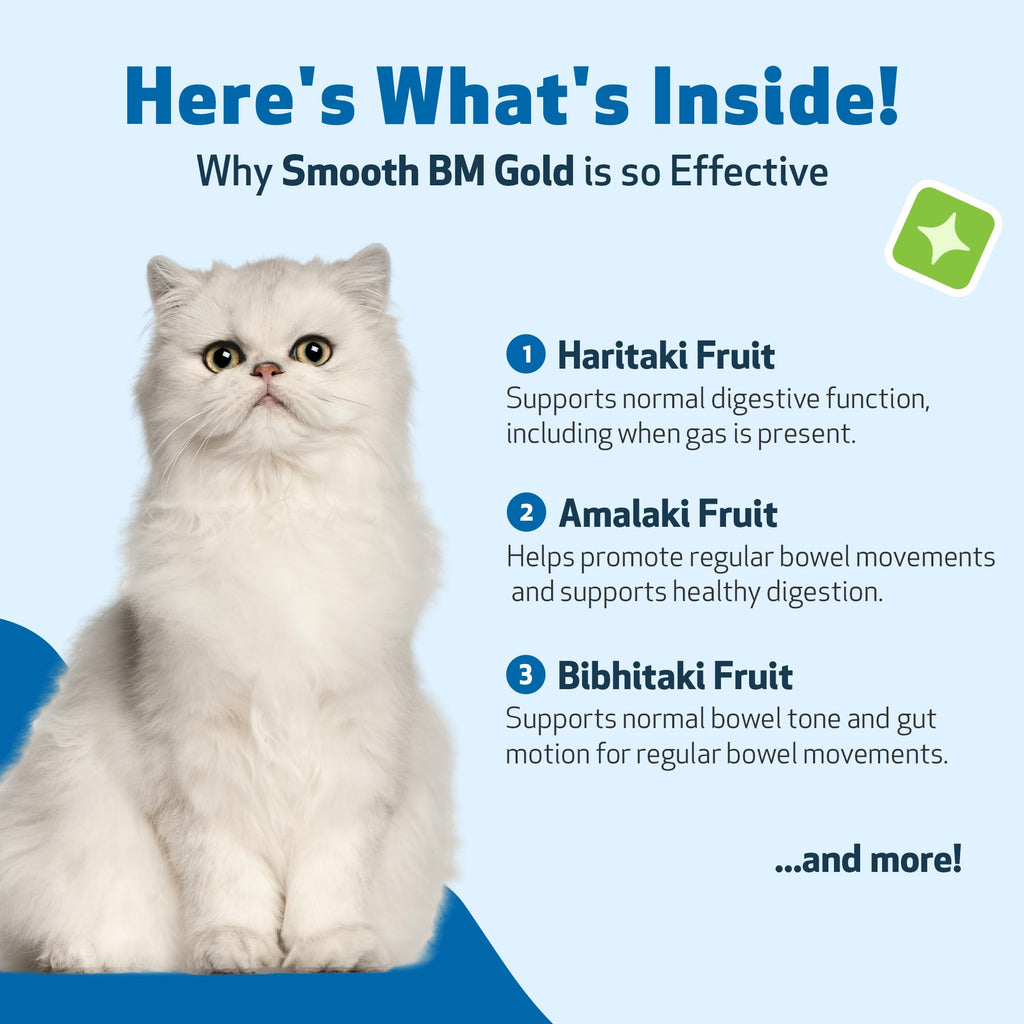 4 oz Cat Bowel Support B439928