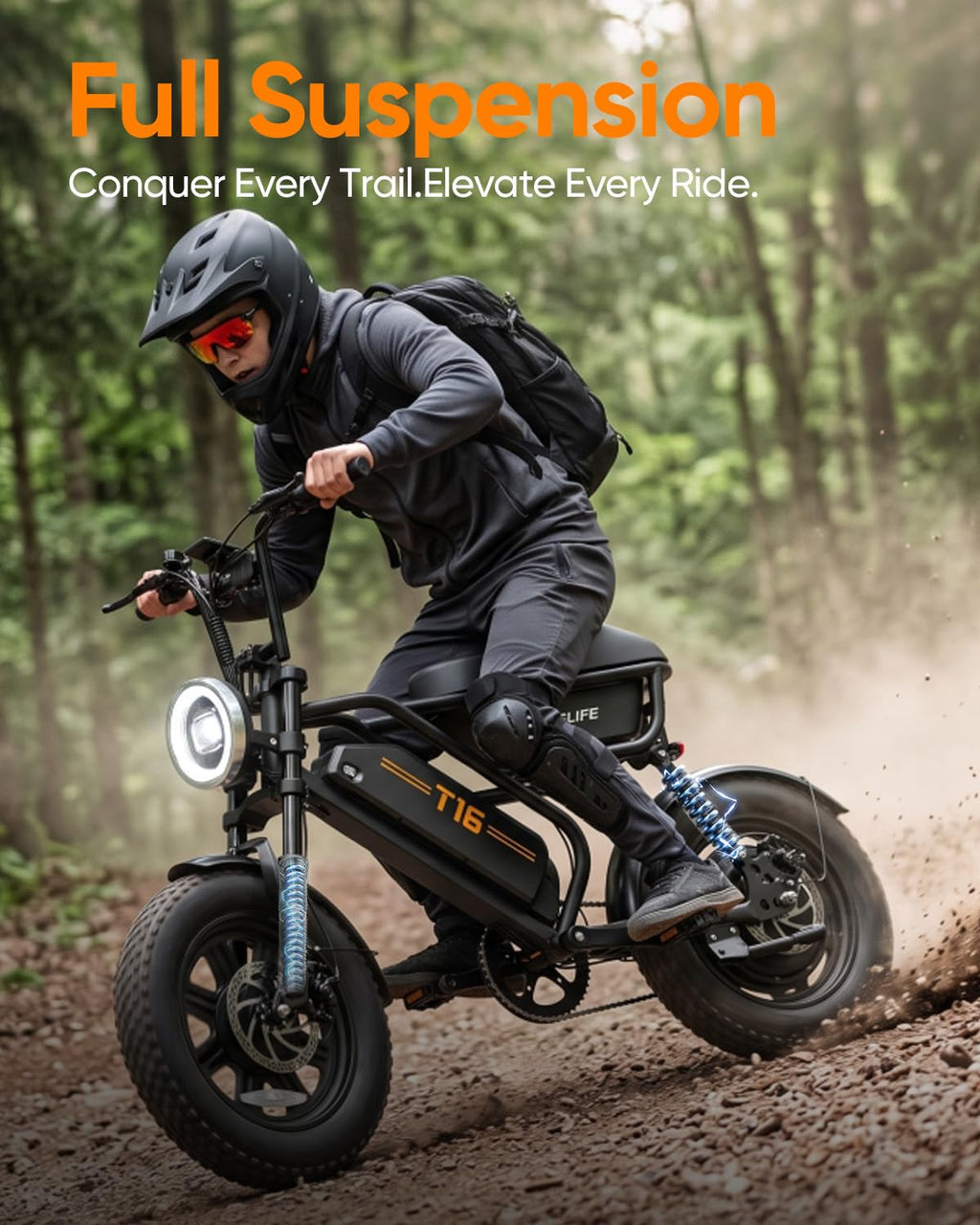 Fat Tire All Terrain Electric Bike D790847