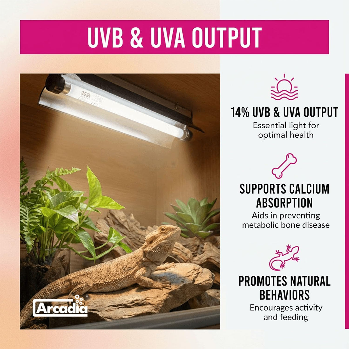 24" 24 Watts 14% UVB Reptile Light Fixture Kit R15198