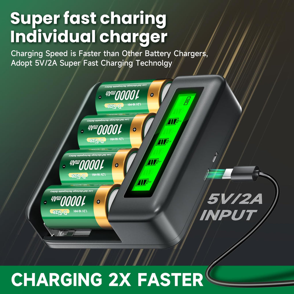 Rechargeable D Batteries with Charger A719589