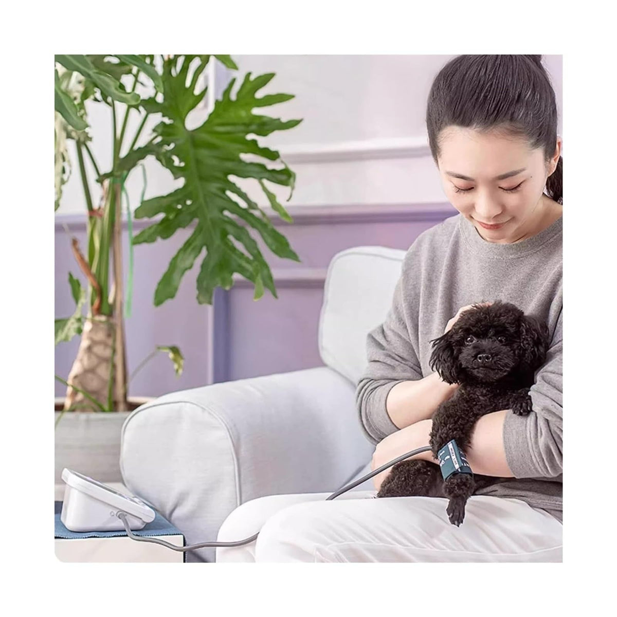 Pet Blood Pressure Monitor W6691
