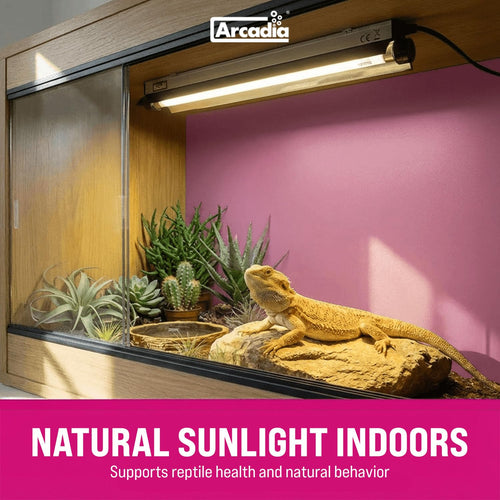 24" 24 Watts 14% UVB Reptile Light Fixture Kit R15198
