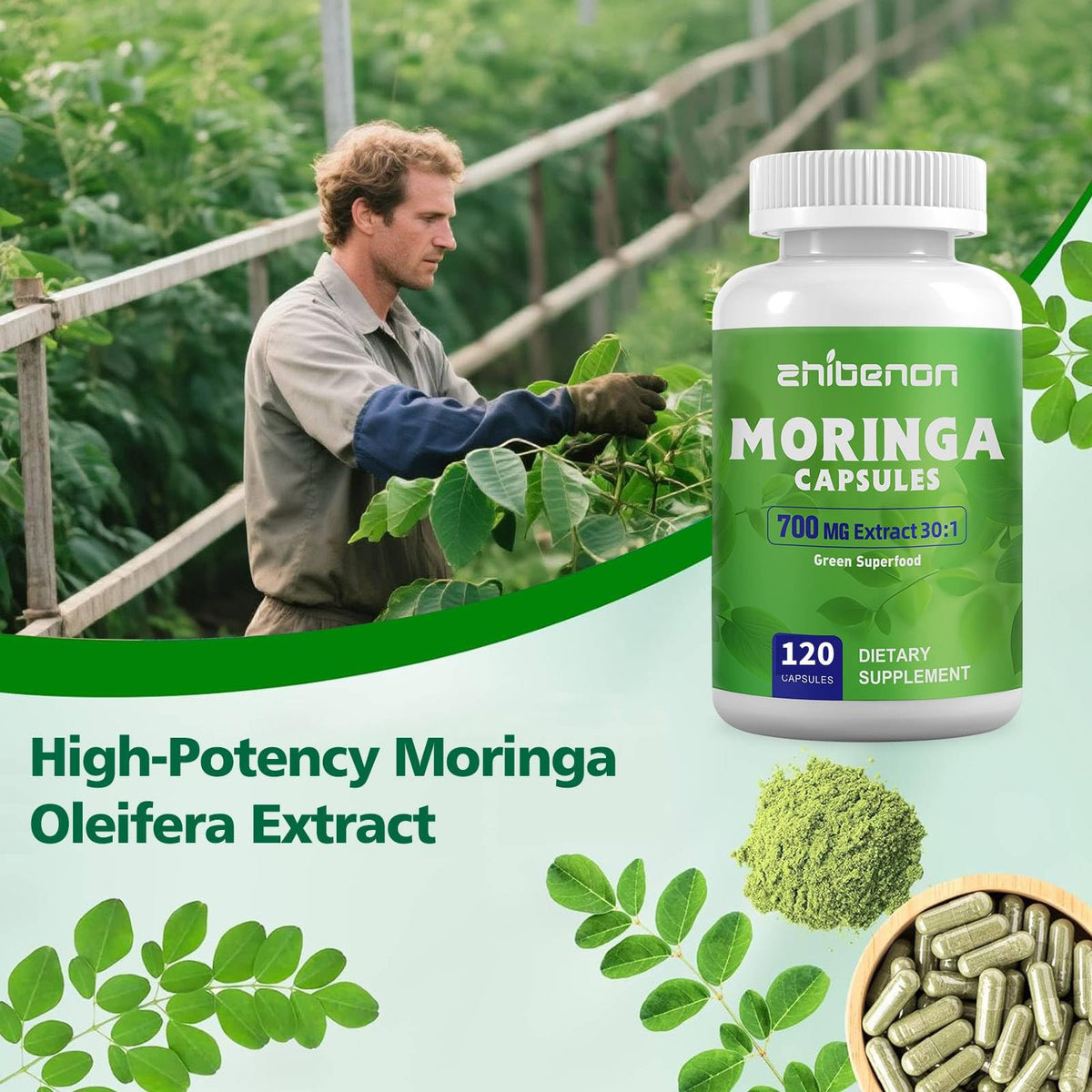 Moringa Oleifera Leaf Extract 120 Capsules 700 mg A42873