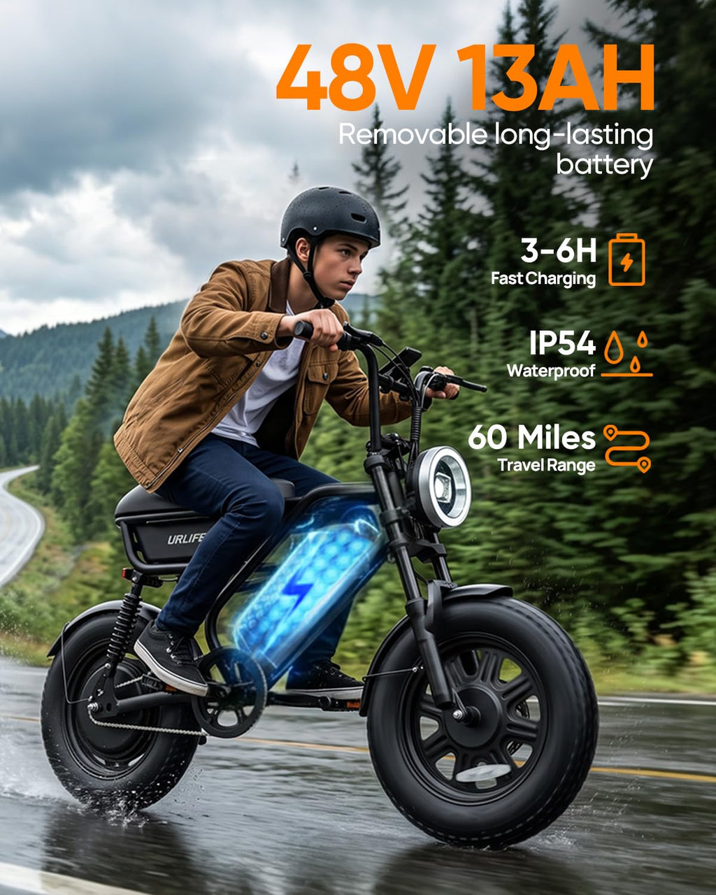 Fat Tire All Terrain Electric Bike D790847