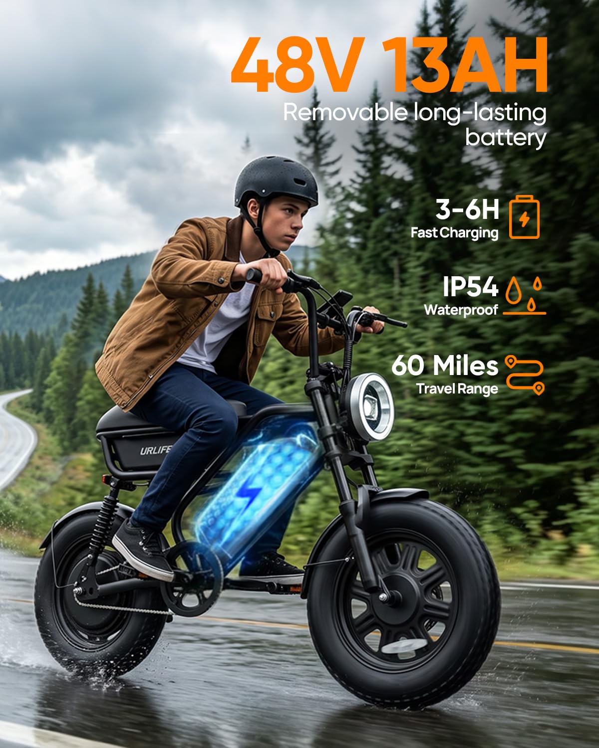 Fat Tire All Terrain Electric Bike D790847