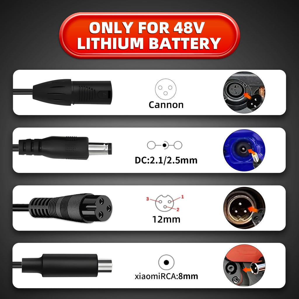 54.6V 2A Electric Bike Charger Y980