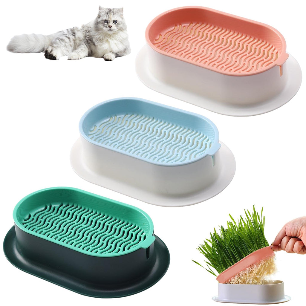 Cat Grass Growing Kit S607049