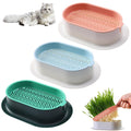 Cat Grass Growing Kit S607049