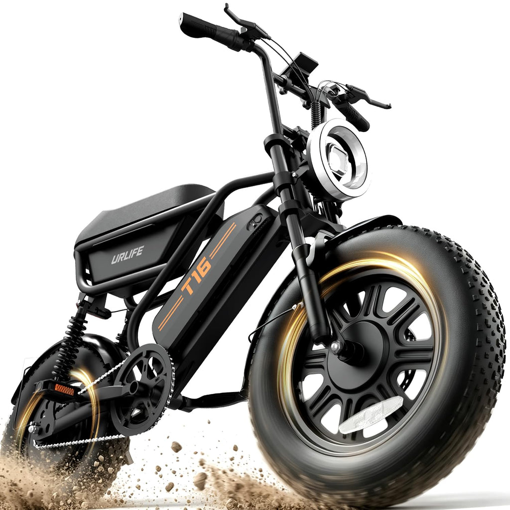 Fat Tire All Terrain Electric Bike D790847