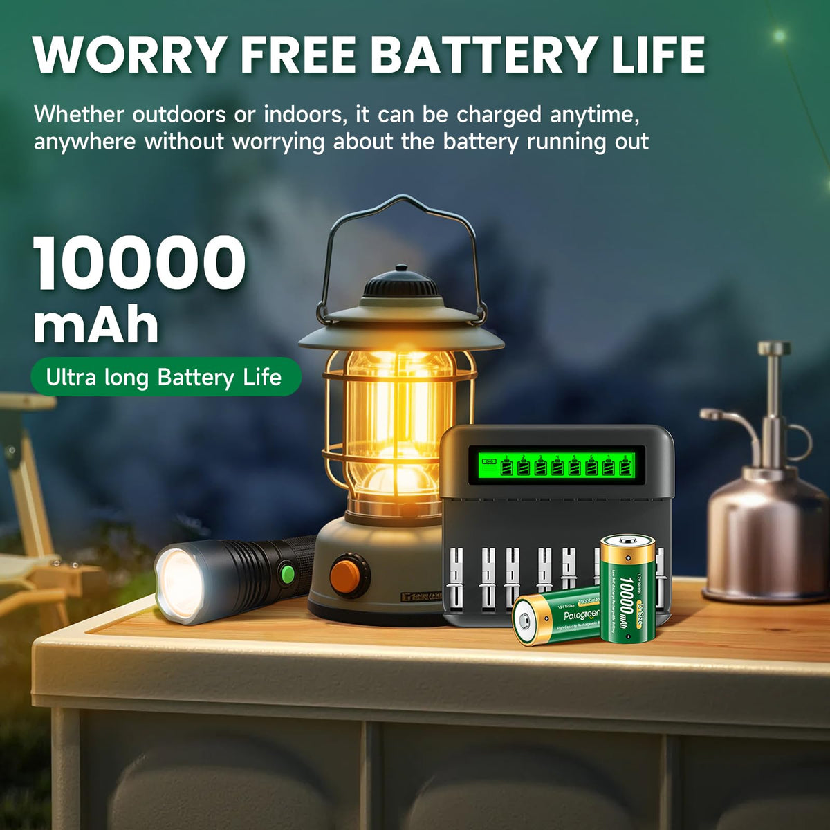 Rechargeable D Batteries with Charger A719589