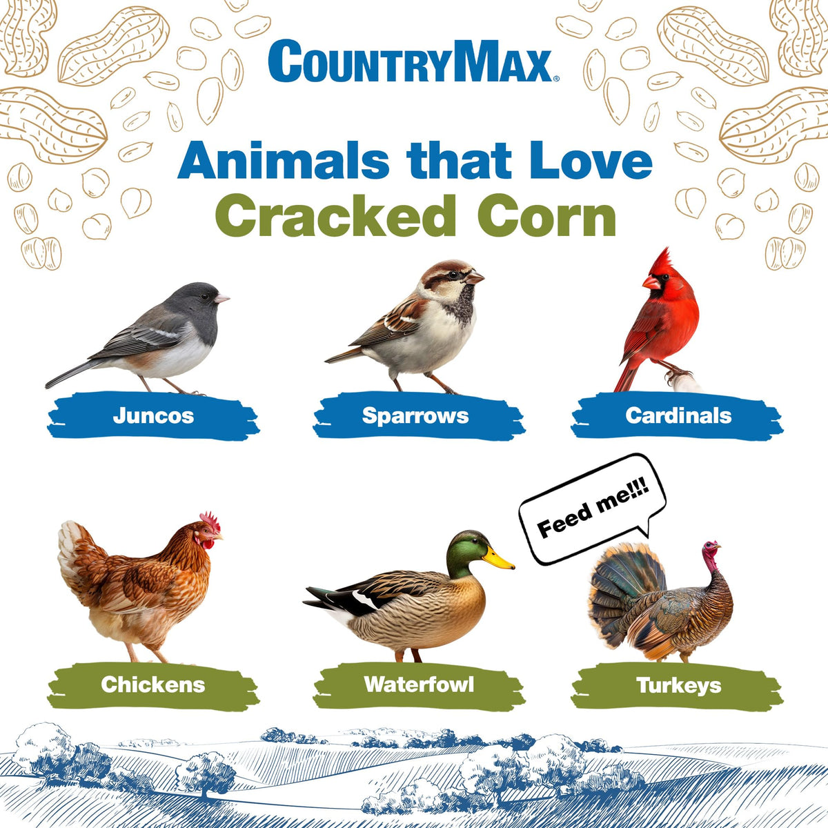 20LB Cracked Corn Chicken Feed G237418