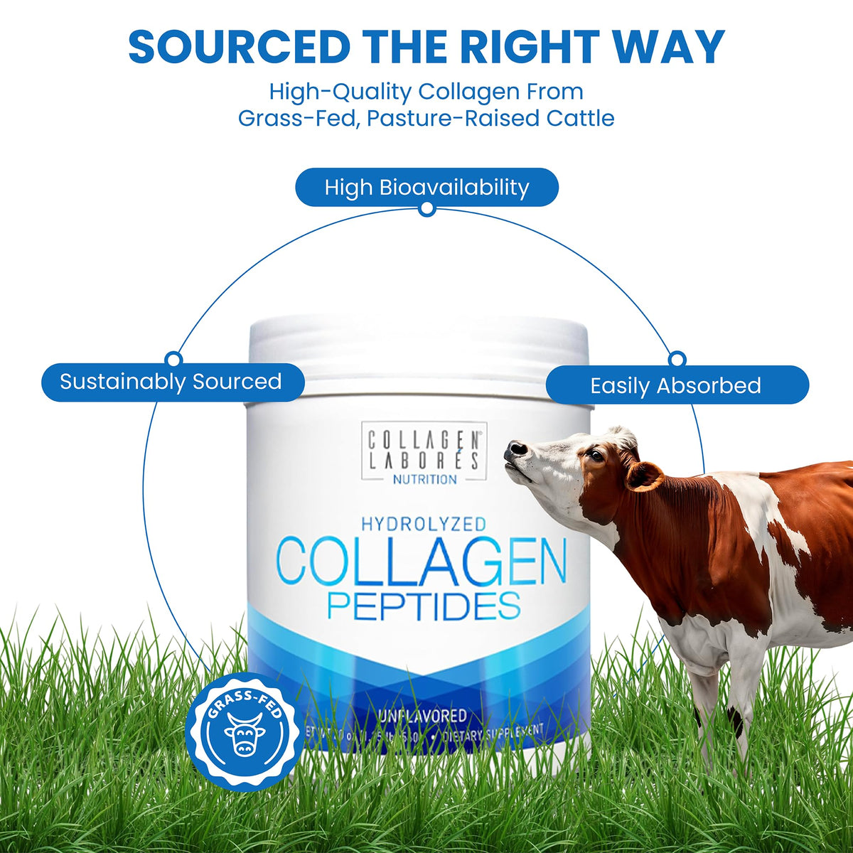 Hydrolyzed Collagen Peptides 20 oz Unflavored Powder T346