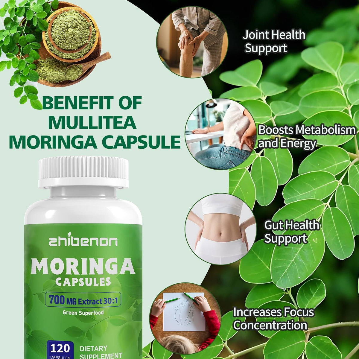 Moringa Oleifera Leaf Extract 120 Capsules 700 mg A42873