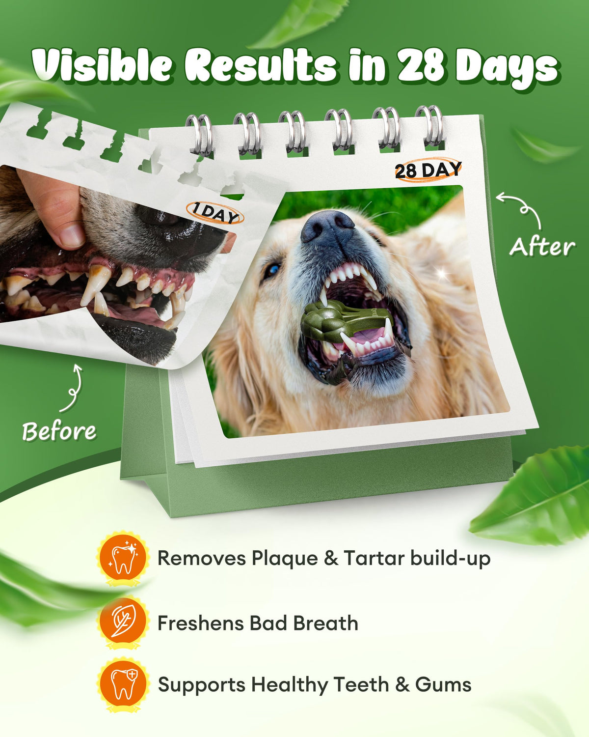 Dog Dental Chews 12oz 10 Count G9267