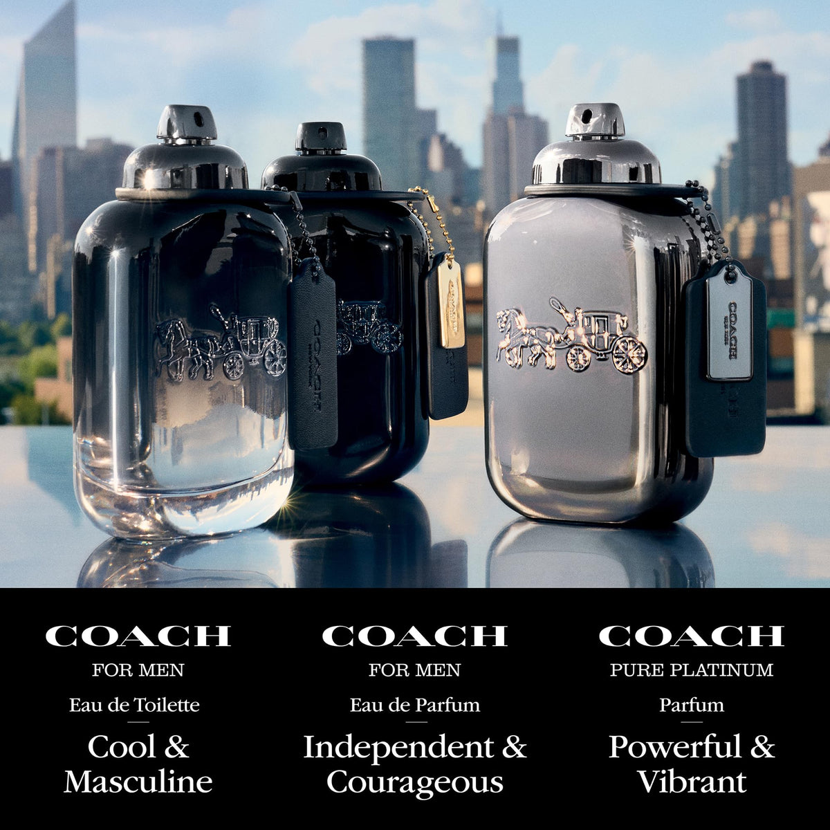 Eau de Parfum C3300