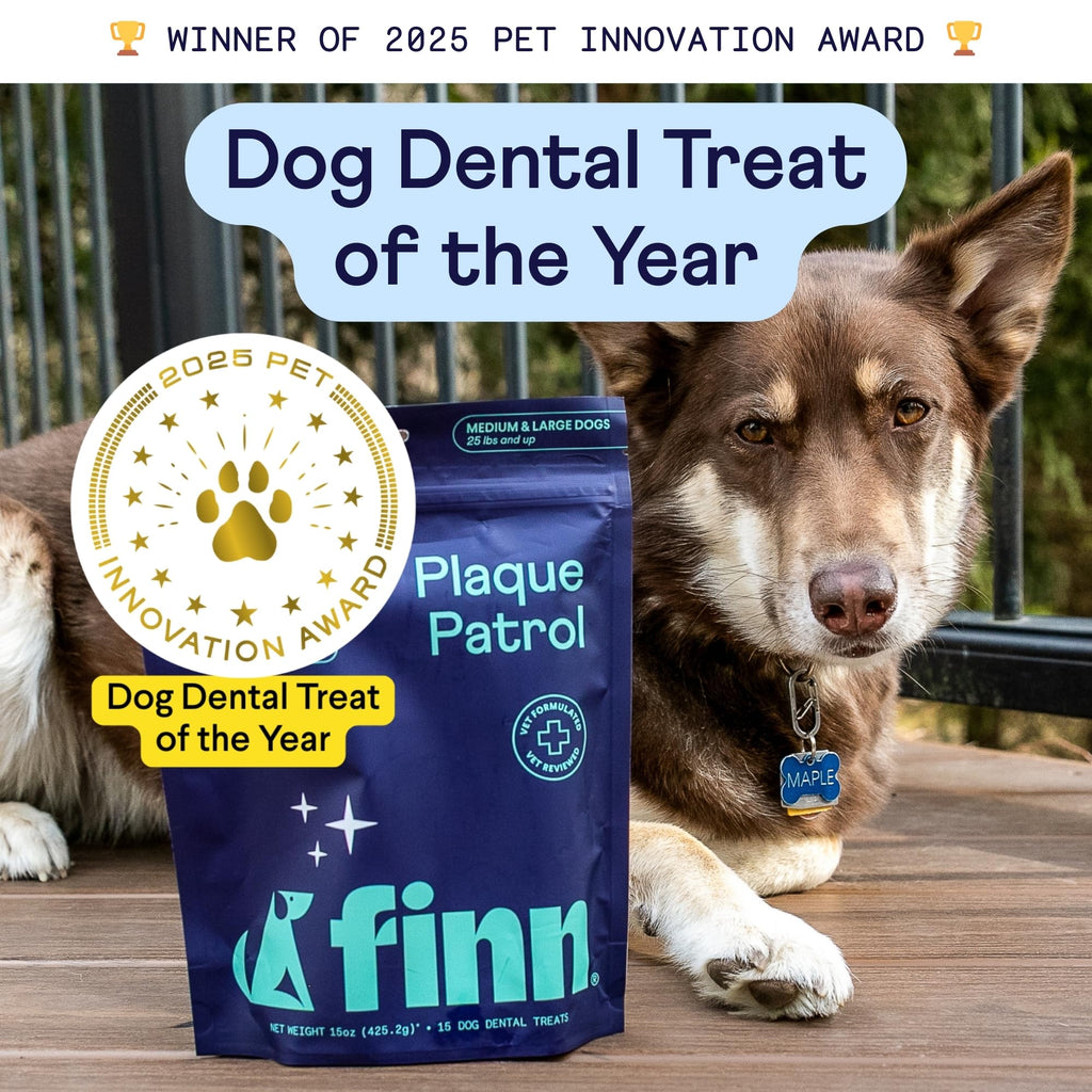 Dental Chews for Dogs 25+ lbs W69070