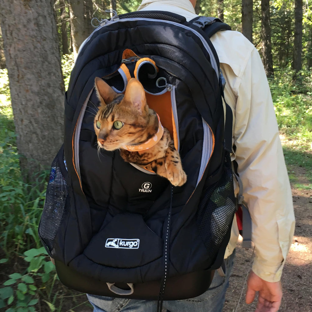 Black Pet Carrier Backpack X457725