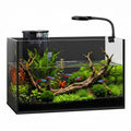 2 Gallon Fish Tank with Light and Filter U128599