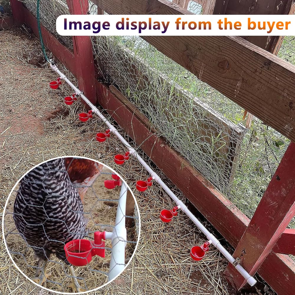 Automatic Chicken Watering System with PVC Pipe K402760
