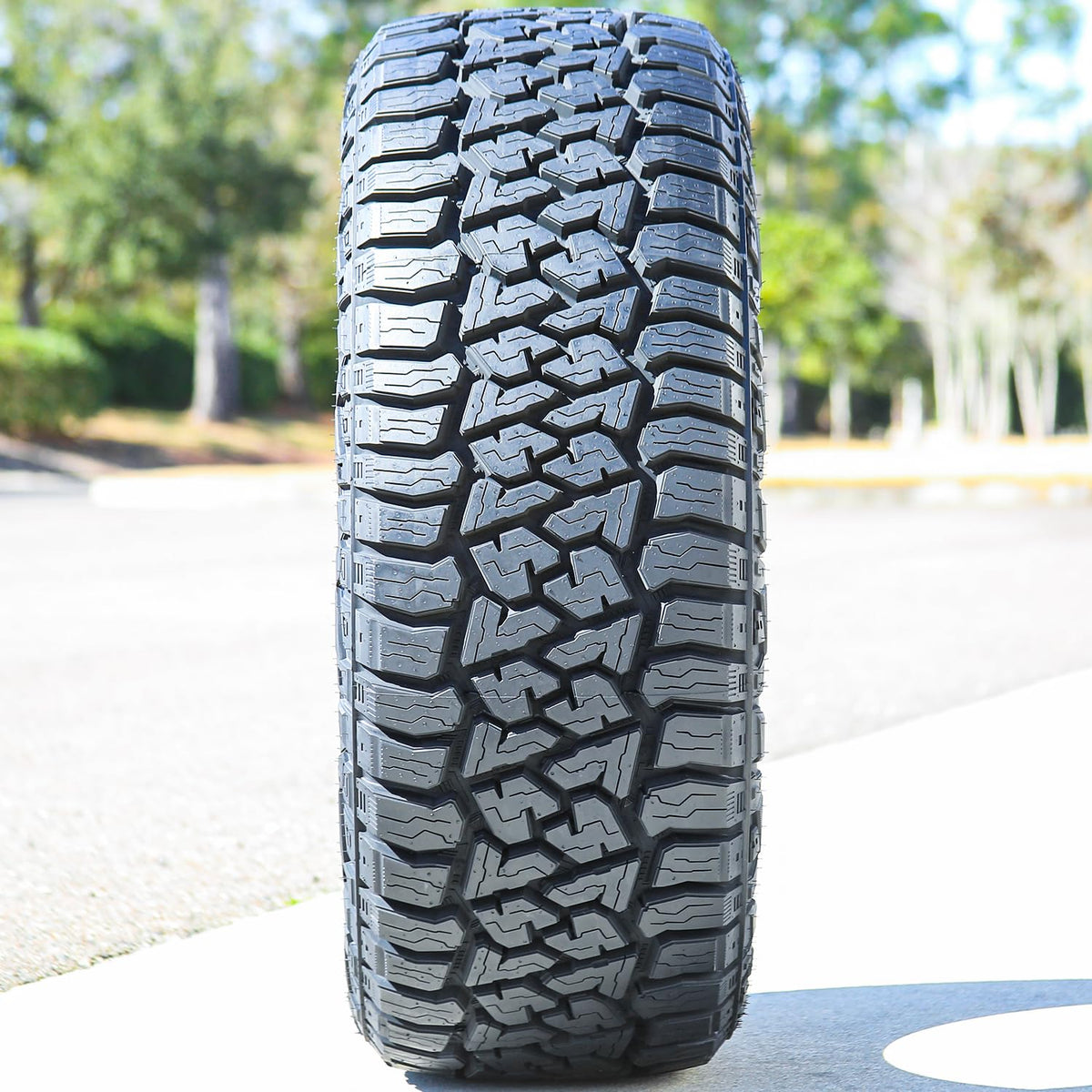 All Season Radial 20 inch Tires E153104