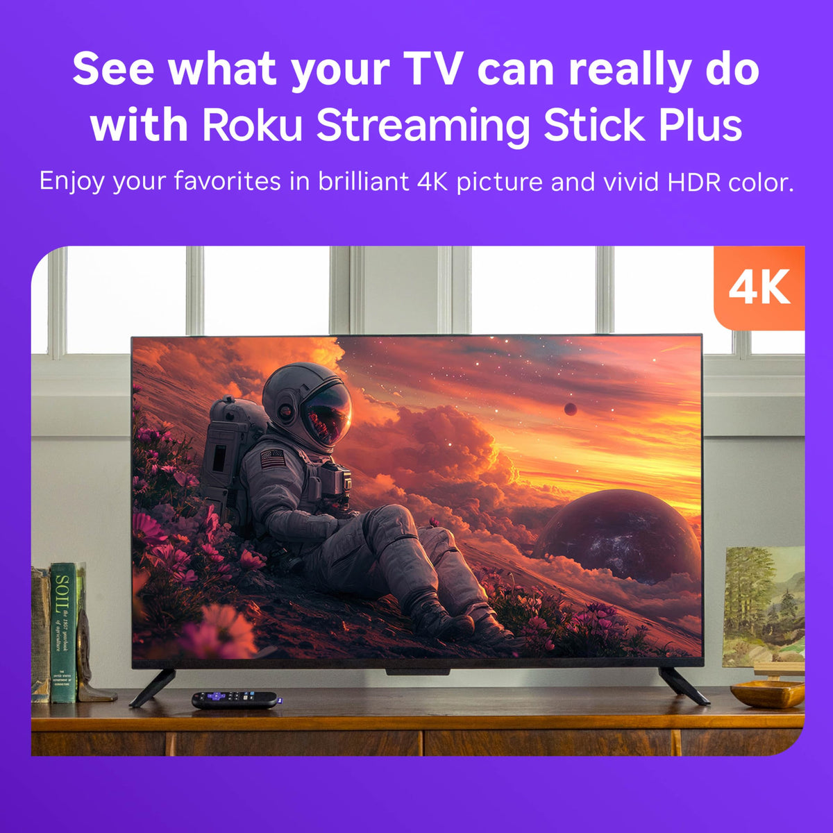 4K HDR TV Streaming Device with Voice Remote & 1080p HD Security Camera S85073