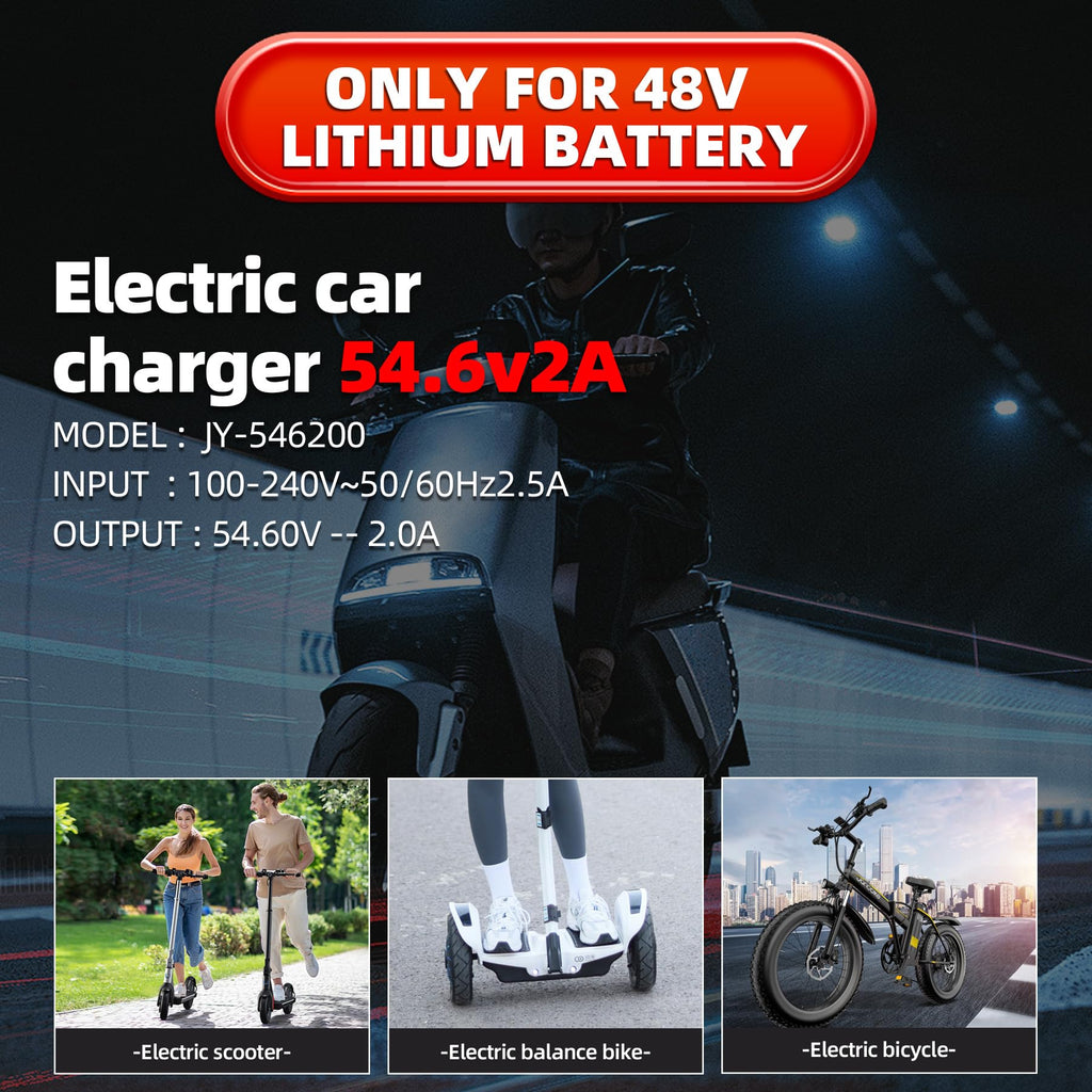54.6V 2A Electric Bike Charger Y980