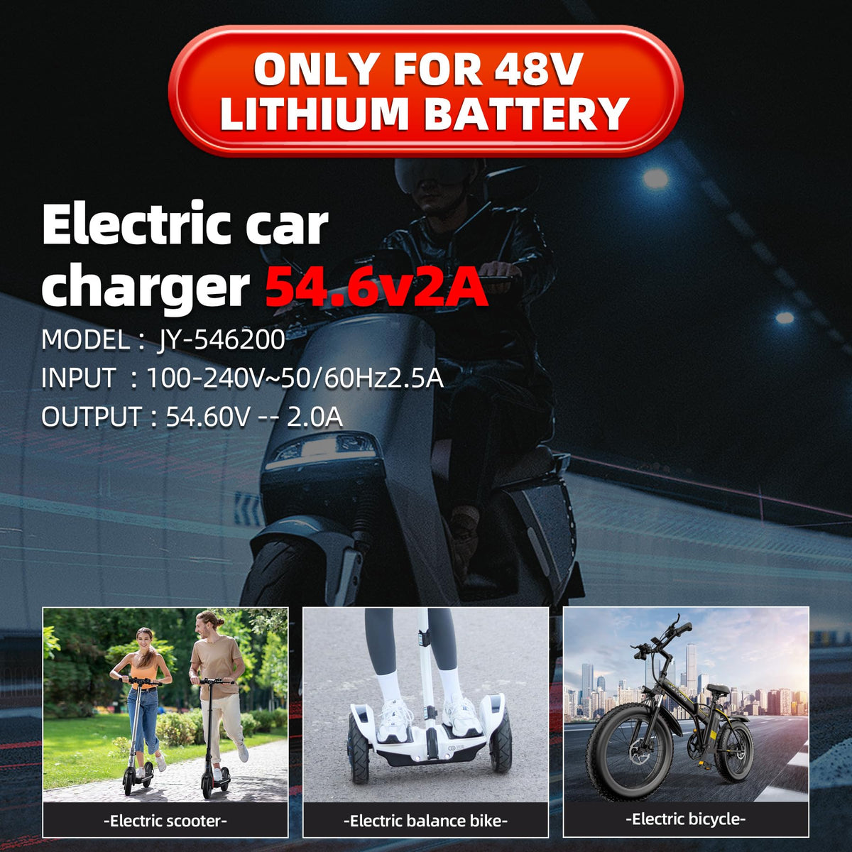 54.6V 2A Electric Bike Charger Y980