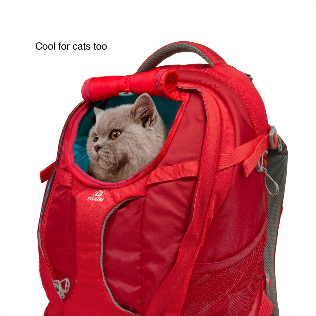 Black Pet Carrier Backpack X457725