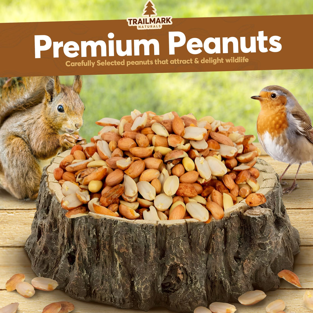 Raw Shelled Peanuts 25 LB F83599
