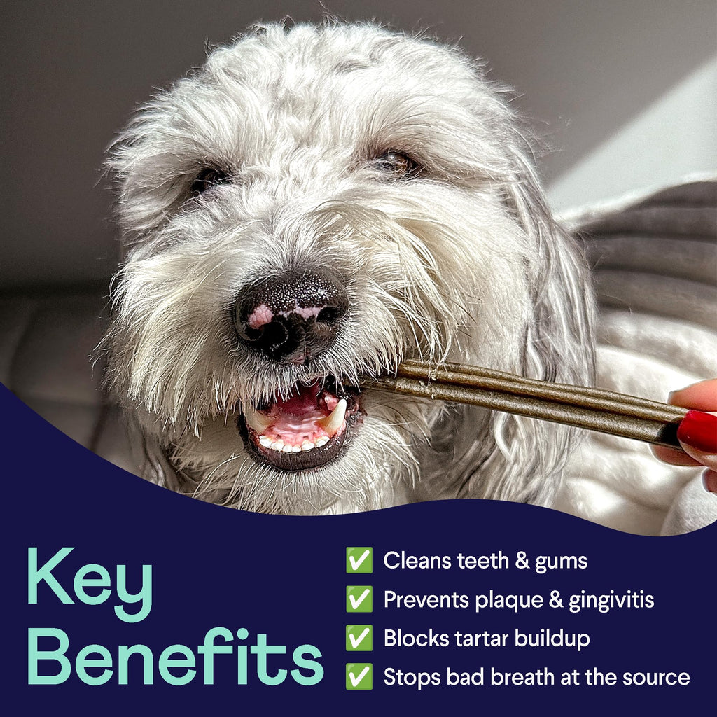 Dental Chews for Dogs 25+ lbs W69070